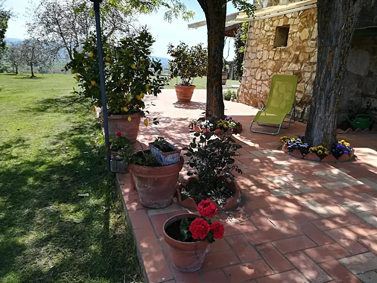 Apartment Ferienwohnung Casa In Collina Siena